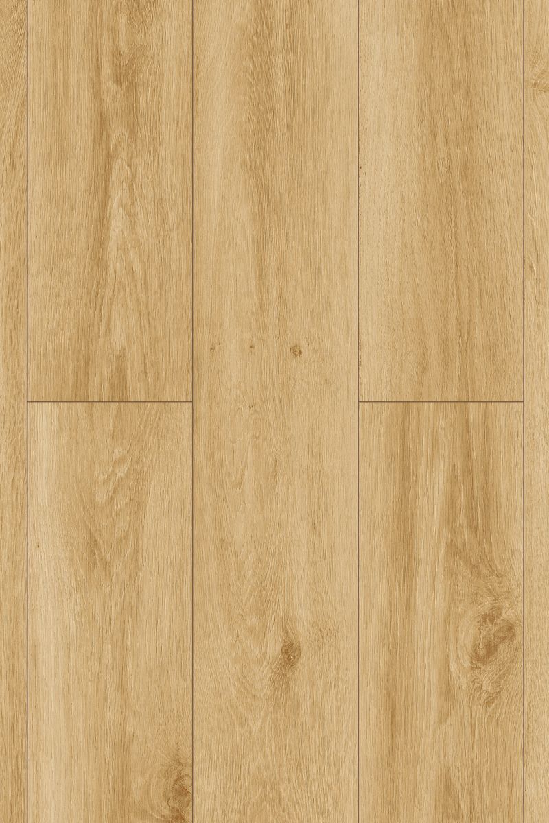 4901 Laminate Flooring Oak Toledo AC4/32 8mm - Image 1