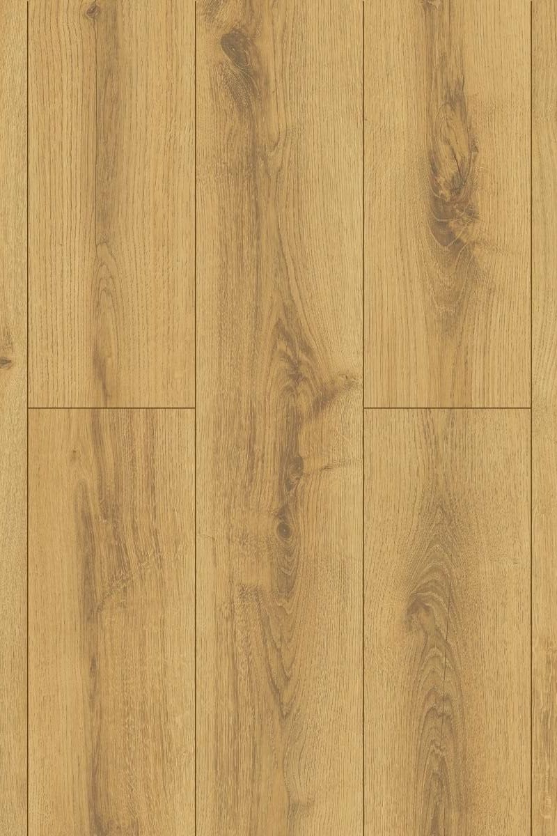 50534 Laminate Flooring Oak Ronda AC4/32 8mm - Image 1