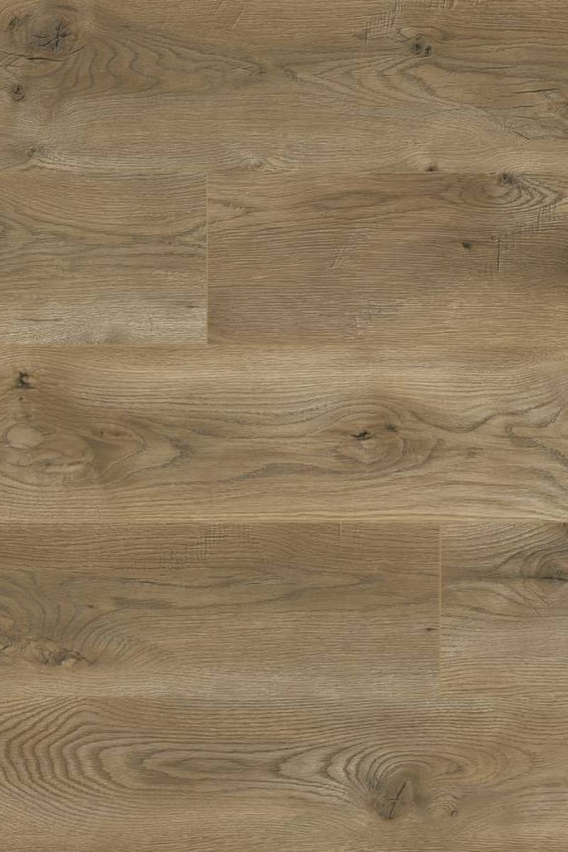 64851 Laminate Flooring Oak Palermo AC5/33 8mm - Image 1