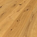 Oak Mountain Natur Object
